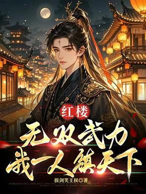 红楼:无双武力,我一人镇天下