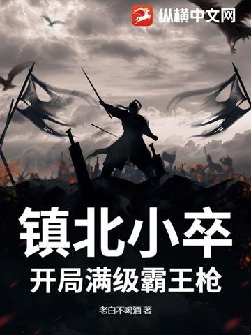 镇北小卒：开局满级霸王枪